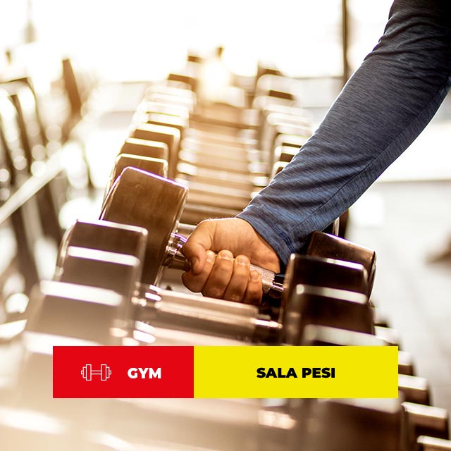 SALA PESI